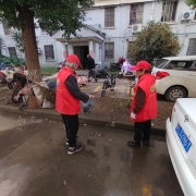 紫竹社区‘静美紫竹 志愿同行’活动圆满收官 居民齐心扮靓家园